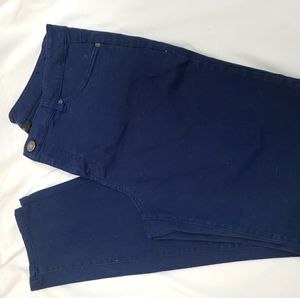 Style&Co Womens Navy colored pant/sz 12
